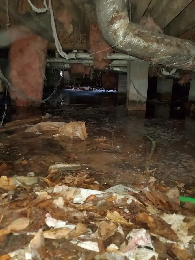 Crawl space flood assessment for Leak Detection & Repair in Cedar City