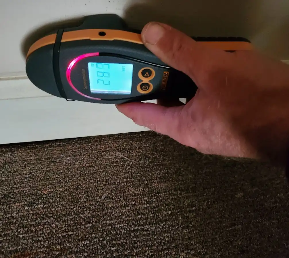 Moisture detection at baseboard during Sewage Cleanup & Sanitation in Cedar City
