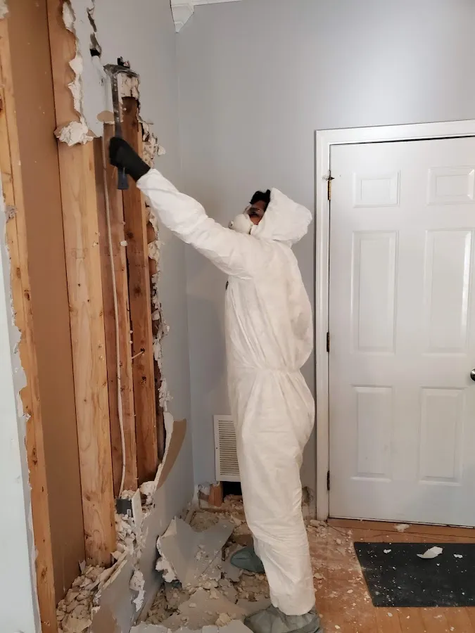 Mold Remediation & Removal in Cedar City, UT